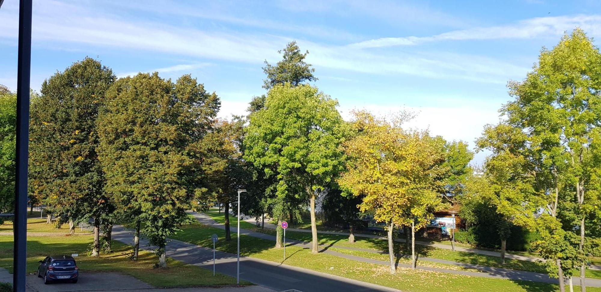 Stadtdomizil Am Binnensee, Haus Bellevue 海利根港 外观 照片